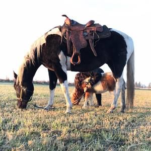 Meet your Posher, Mindi